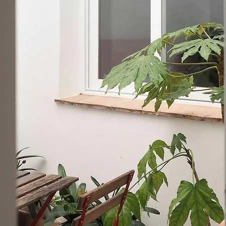 Capricho De La Judería Apartamento *