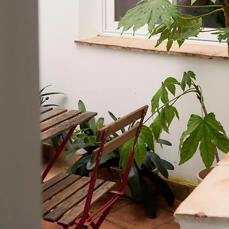 Capricho De La Juderia Apartment