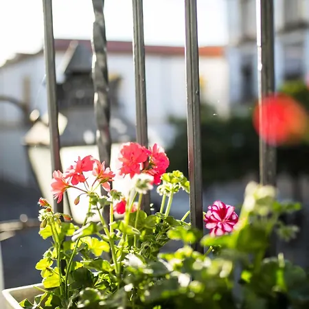 Capricho De La Judería