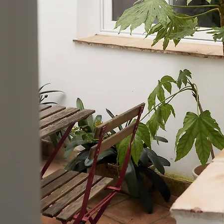 Capricho De La Juderia Córdoba