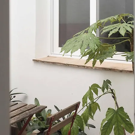 Capricho De La Juderia * Córdoba