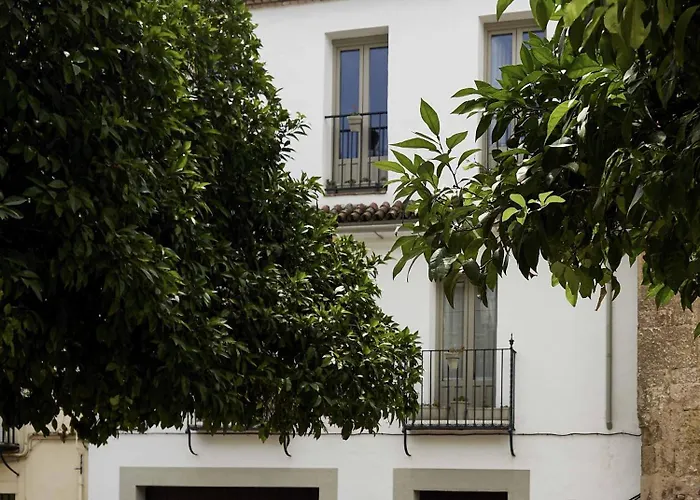 Apartamento Capricho De La Judería *